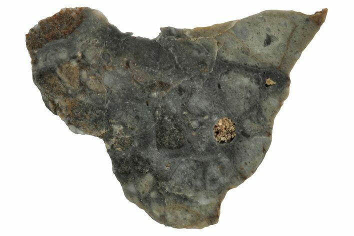 Lunar Meteorite Slice ( g) - NWA #346558